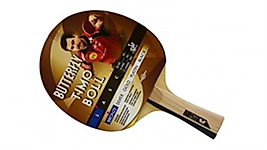 Butterfly Timo Boll Bronze